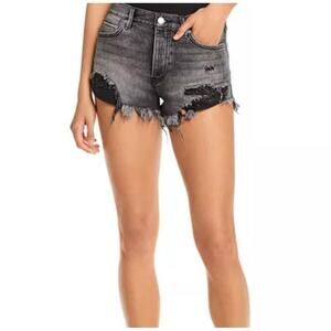 Women's Free People Loving Good Vibrations Shorts CRVY Size 28